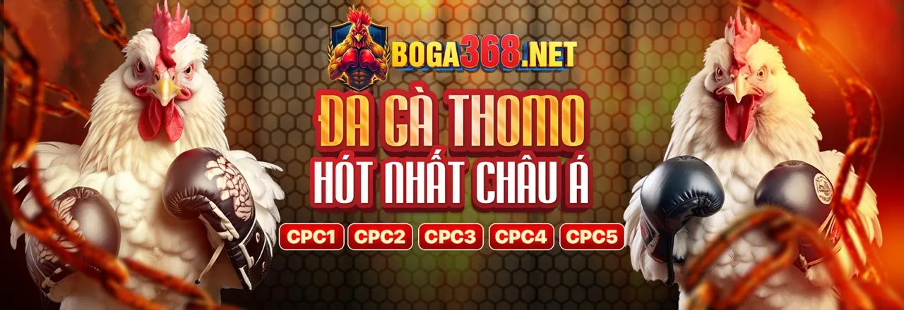 Hoàn trả cược thể thao game fly88