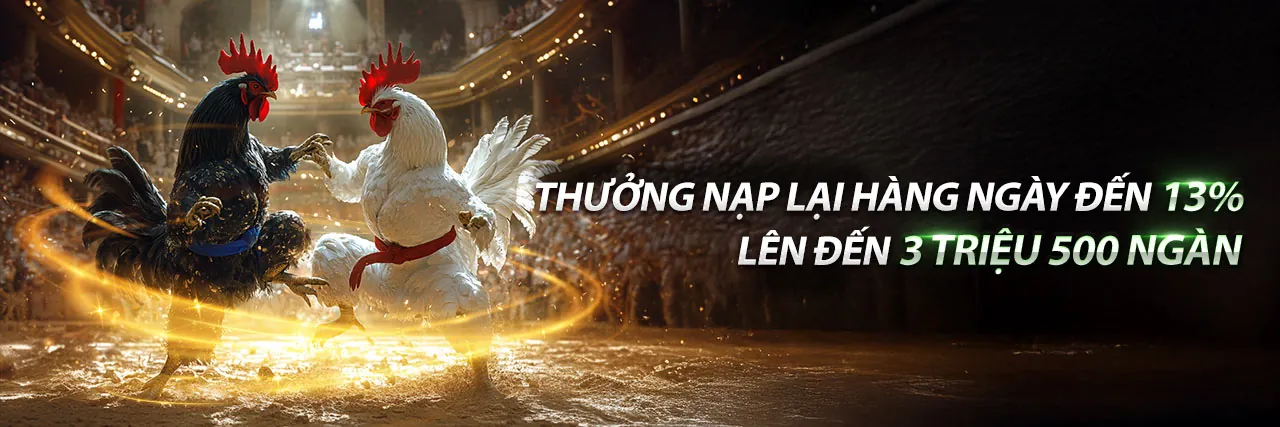 Đá gà trực tuyến game fly88 với không khí sôi động